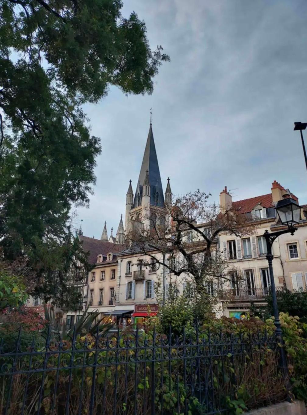 Le Charme Dubois Daire Dijon Dış mekan fotoğraf
